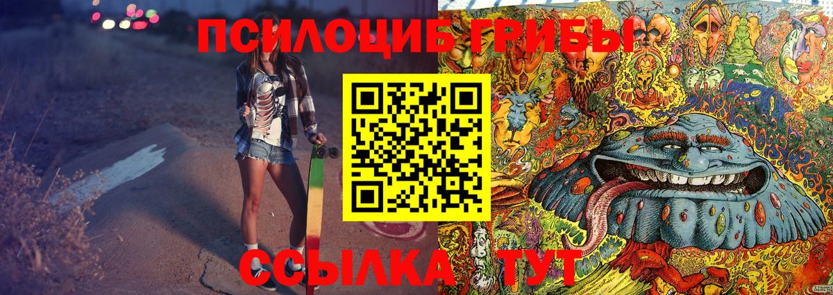 где найти   Галлюциногенные грибы MAGIC MUSHROOMS  Вход с VPN  Коряжма 